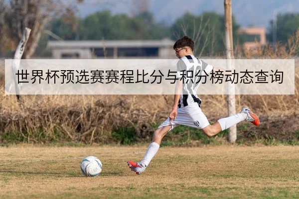 世界杯预选赛赛程比分与积分榜动态查询