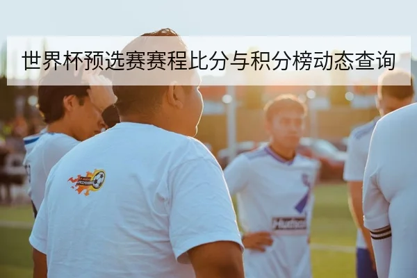 世界杯预选赛赛程比分与积分榜动态查询